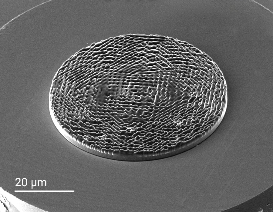 SEM image of a complex 3D multi-focus hologram microfabricated by Two-Photon-Polymerization on the facet of an optical fiber